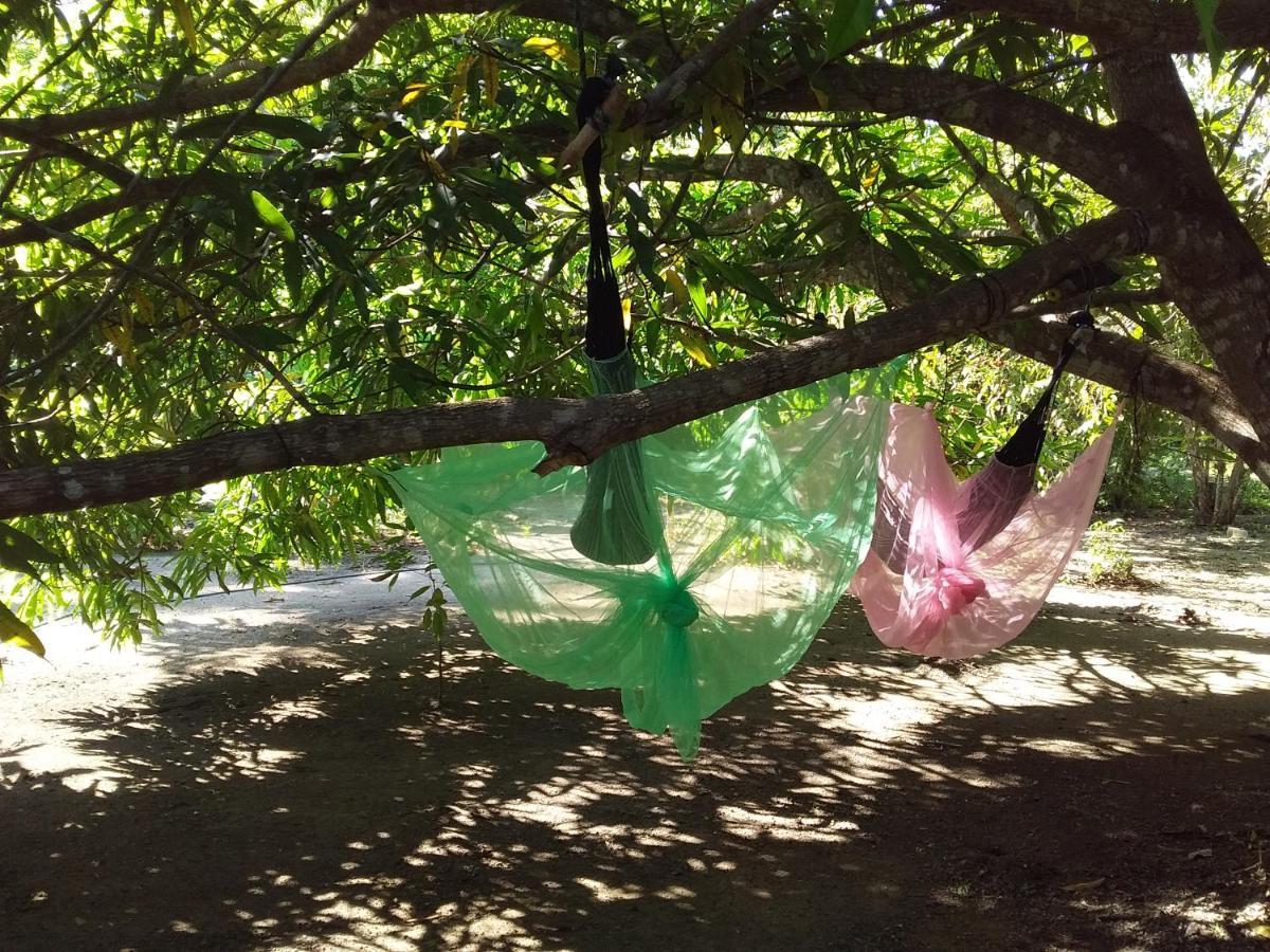 Eco-Camping Mango Feliz Rincon Del Mar San Onofre Buitenkant foto