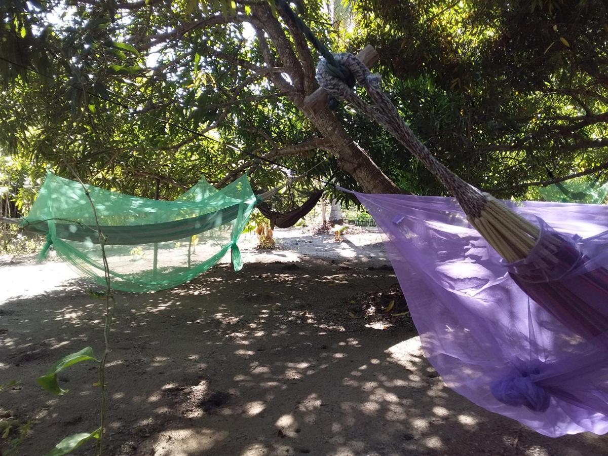 Eco-Camping Mango Feliz Rincon Del Mar San Onofre Buitenkant foto