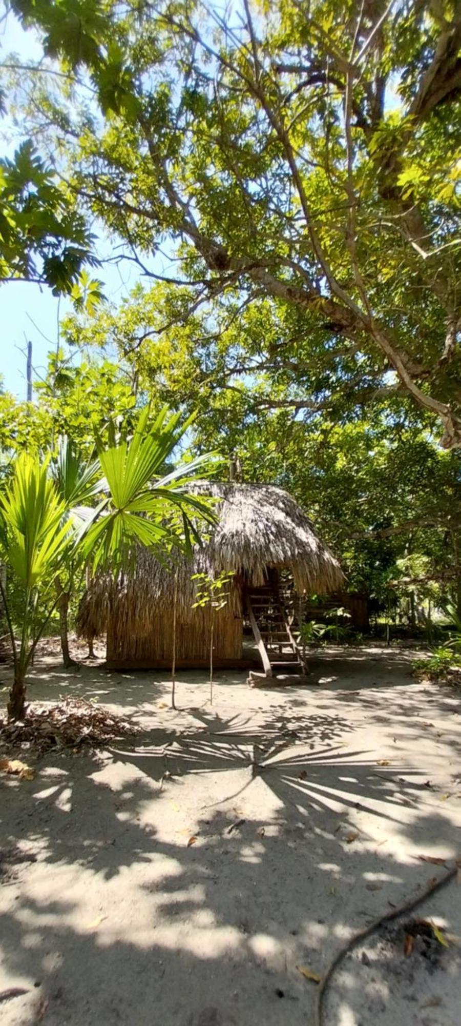 Eco-Camping Mango Feliz Rincon Del Mar San Onofre Buitenkant foto