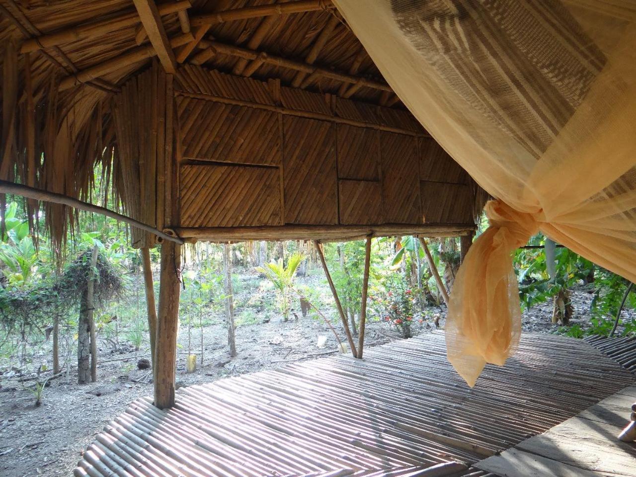 Eco-Camping Mango Feliz Rincon Del Mar San Onofre Buitenkant foto