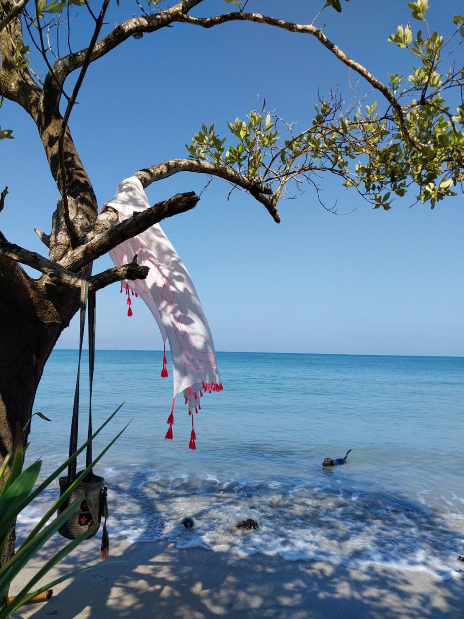 Eco-Camping Mango Feliz Rincon Del Mar San Onofre Buitenkant foto