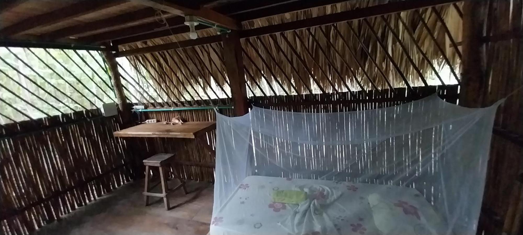 Eco-Camping Mango Feliz Rincon Del Mar San Onofre Buitenkant foto