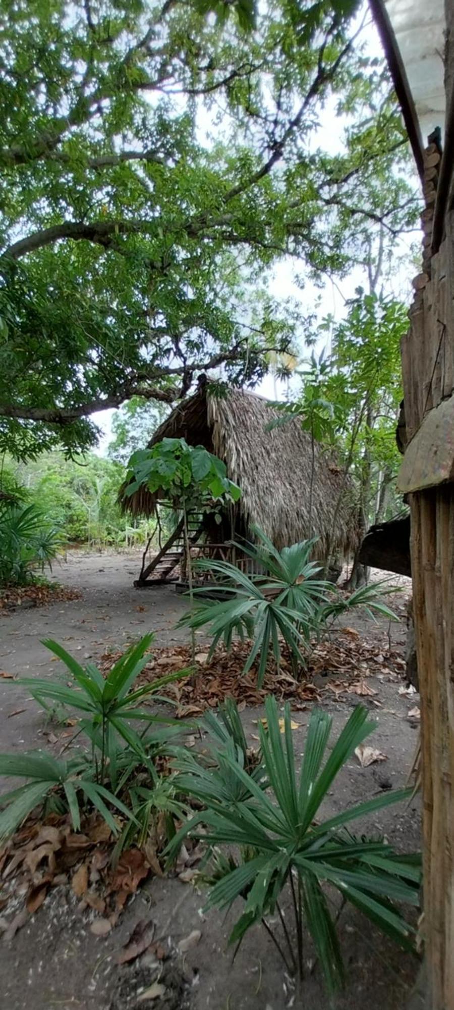 Eco-Camping Mango Feliz Rincon Del Mar San Onofre Buitenkant foto